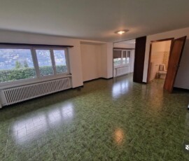 Ristrutturazione e pittura Bellinzona
